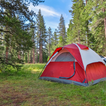 Camping Tents & Shelters